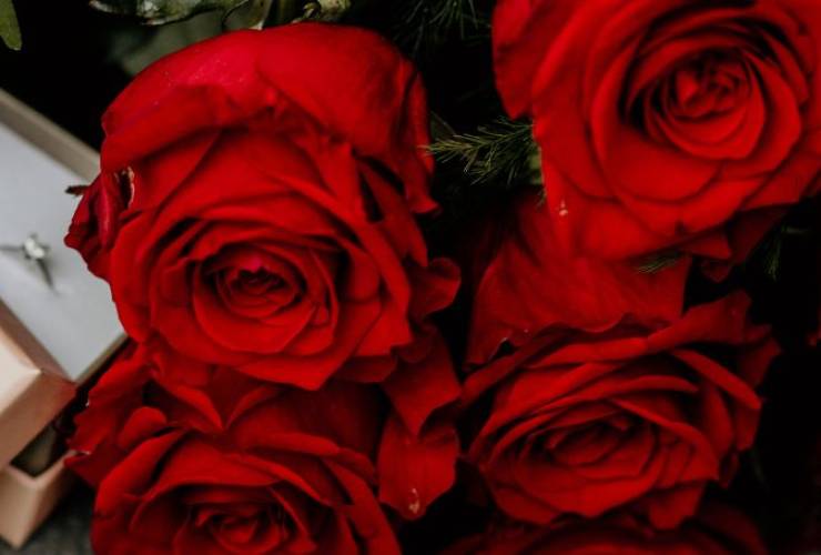 ❤️ San Valentino 2026: il gioiello perfetto per dire 